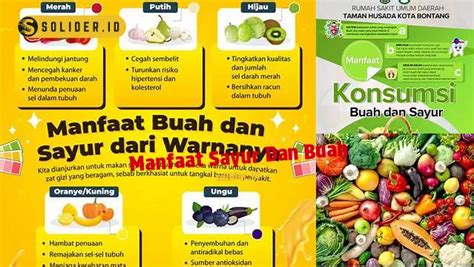 Temukan Berbagai Manfaat Sayur Dan Buah Yang Jarang Diketahui Solider