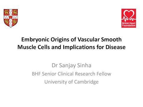 Pdf Vascular Smooth Muscle Cells Vsmcs In Vascular Disease