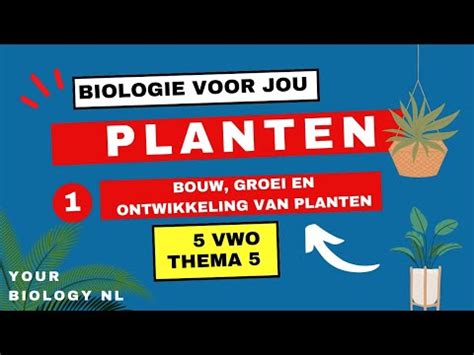 Nl Vwo Planten Bouw Groei En Ontwikkeling Van Plant