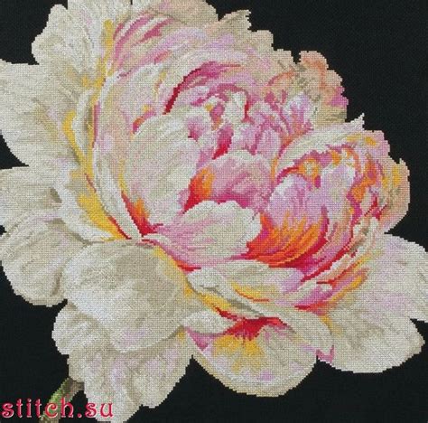 Наборы для вышивания Anchor (страница 4) | Cross stitch flowers, Floral ...