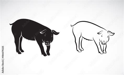 Vector of a pig on white background. Farm Animals. Vector illustration ...