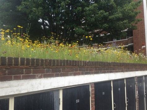 Bin Shed Green Roofs Small Scale Green Roof Guide