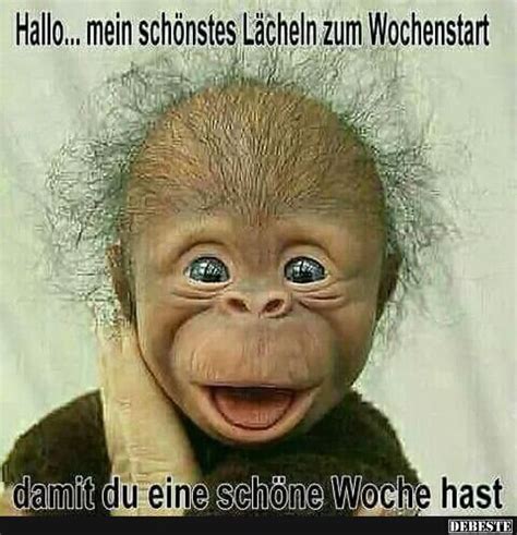 Lustige Bilder Zum Lachen Kostenlos Lustige Spr Che