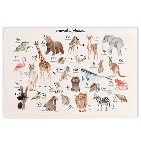 ARBOMG Animal Alphabet Chart Kids Educational Poster Animal Alphabet ...