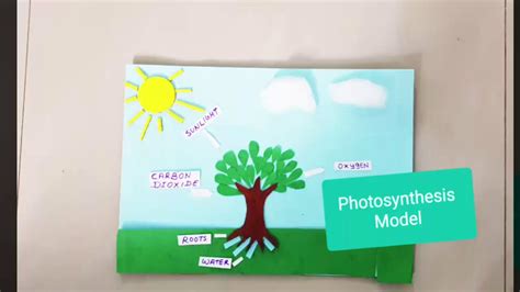 37+ Viral Photosynthesis Model Project, Dog Photos - Headshot