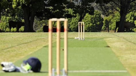 What Is A Wicket In Cricket - Sixes Cricket Blog