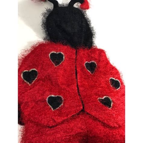 Costumes Lady Bug Costume Poshmark