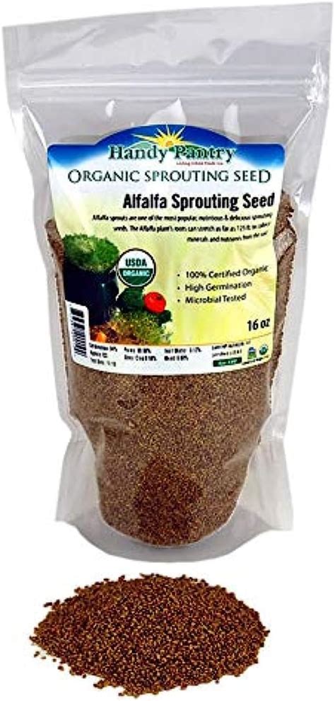 Amazon Handy Pantry Organic Alfalfa Seeds For Sprouting Lb