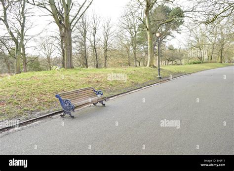 A Bench And Lamp On A Park With The Trees And Grass Background Stock