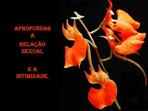 Ppt O Que É O Tantra Powerpoint Presentation Free Download Id 5218373