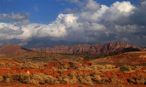 Red Cliffs Conservation Area – Across Utah!