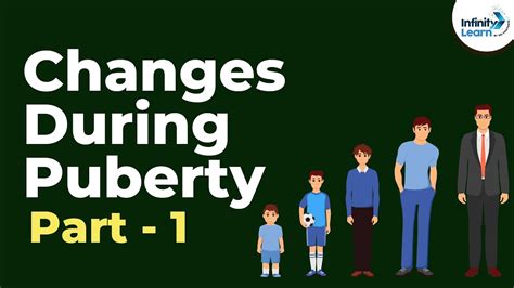 Puberty Changes Poster