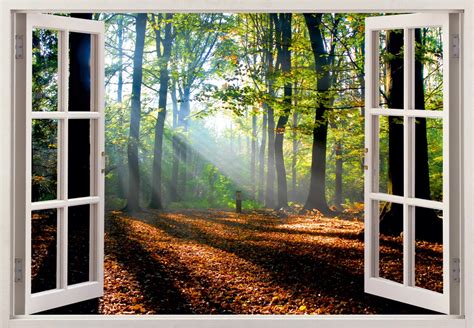 3D Window View Forest Landscape Wall Mural 3d Window Wall - Etsy