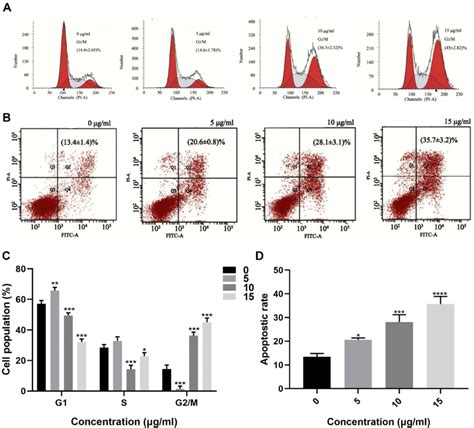 Dios Promotes Cell Cycle Arrest In G2m And Cell Apoptosis Of Hepg2