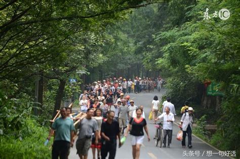 可可西里申遺成功，該不改高興 每日頭條