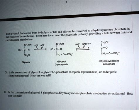 Solved Converted To Dihydroxyacetone Phosphate In The Glycerol That