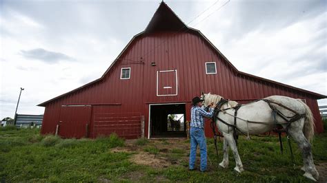 Beloved Barns Western Horseman