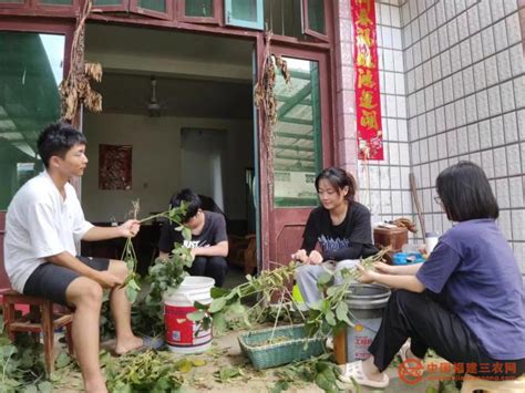 农林学子下乡实习 躬耕田亩服务“三农” 中国福建三农网