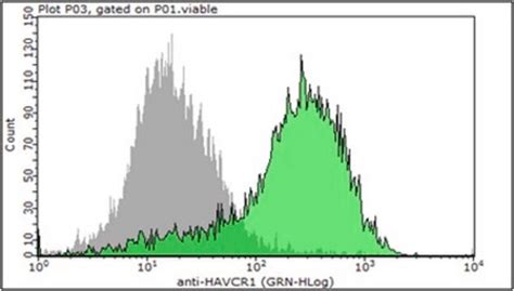 Anti Havcr Antibody From Rabbit Purified By Affinity Chromatography