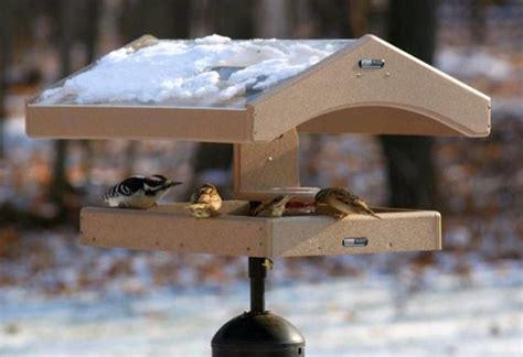 Platform Bird Feeders Pole Mounted