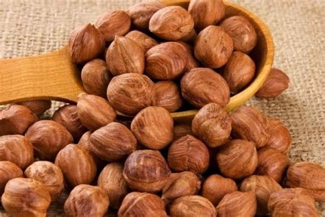 What Is The Best Raw Hazelnut Arad Branding