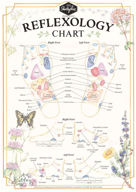 Shirley Price Essential Oils Reflexology