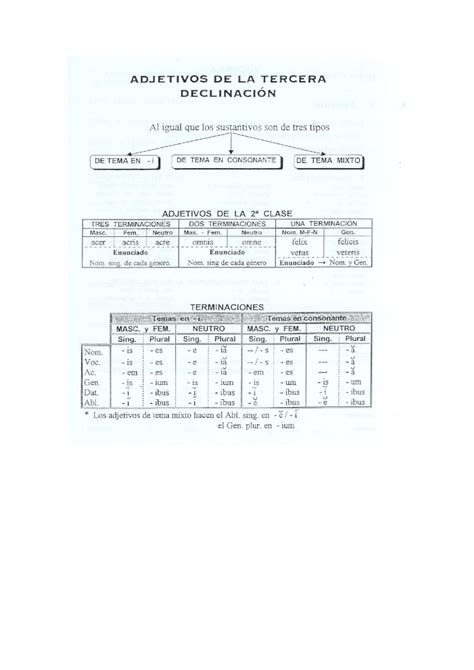 DOC teoria adjetivos 3ª declinacion DOKUMEN TIPS