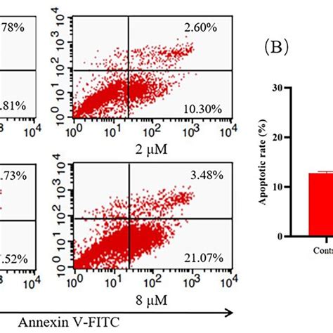 Compound H Induced Hepg Cell Apoptosis A Hepg Cells Were Treated