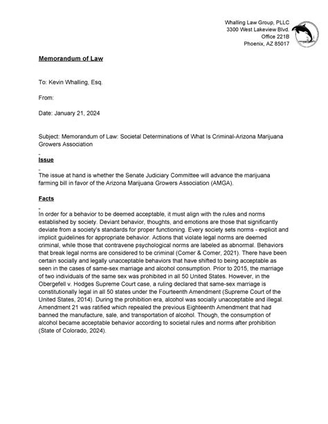 Law Of Criminal Exam Paper 2013 Memorandum 9