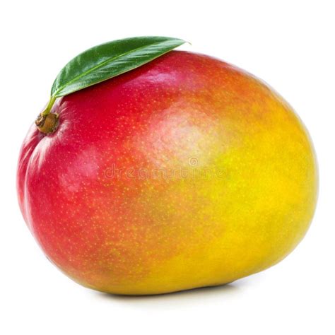 Mango Fruit Isolated Stock Photo Image Of Nutrition 19703834