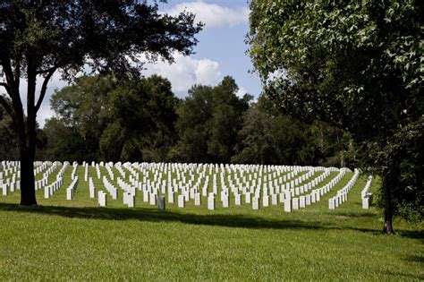 Florida National Cemetery Tombstones | ClipPix ETC: Educational Photos ...