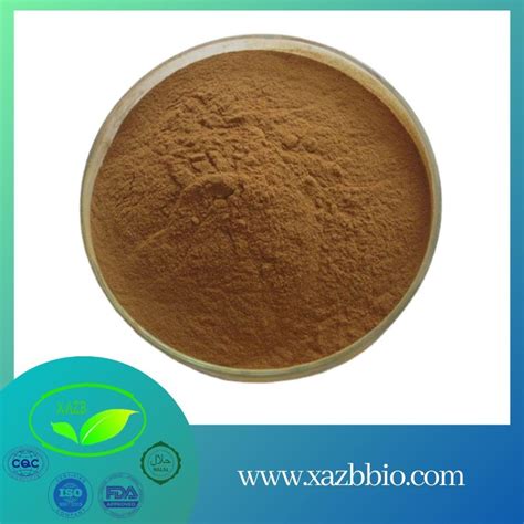 Natural Ginger Root Extract Zingiber Officinale Extract Ginger Root