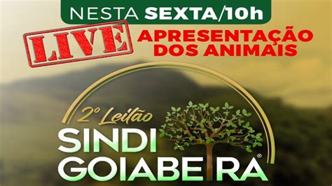 Live Apresenta O Leil O Sindi Goiabeira Youtube