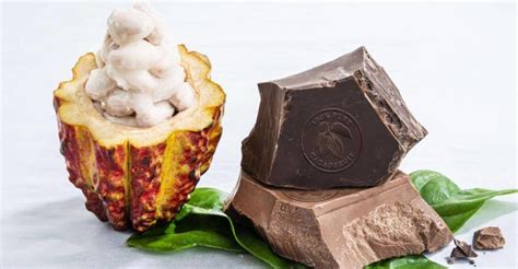 BARRY CALLEBAUT LAUNCHES WHOLEFRUIT CHOCOLATE