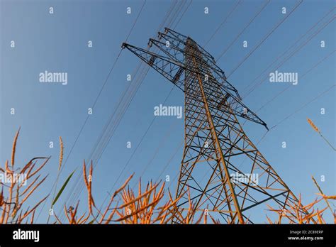 Large Electricity pylon also overhead line pylon stand in the oil ...