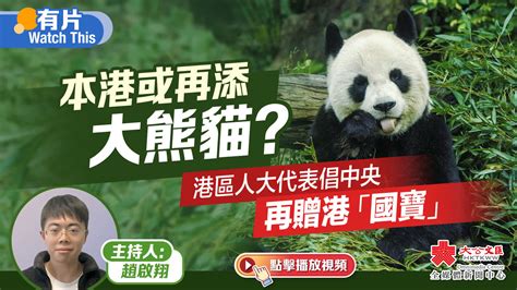 （有片）本港或再添大熊貓？ 港區人大代表倡中央再贈港「國寶」 2023年全國兩會 大公文匯網