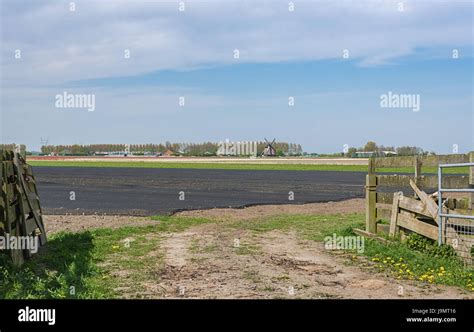 Typical Dutch Polder Landscape With Mills On The Background Stock Photo