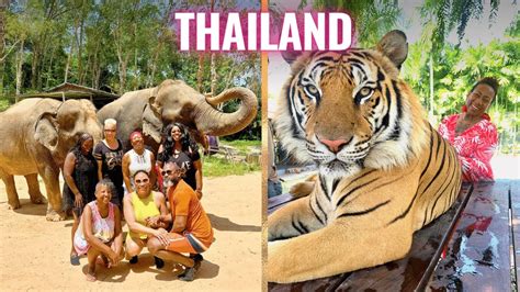 We Went To Thailand Weed Sex Elephants Tigers And The Big Buddha Youtube