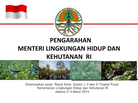 Fungsi Hutan Paya Air Masin Fakta Dan Manfaat Hutan Bakau Untuk