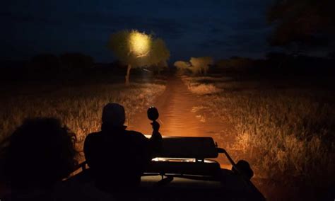 Night Game Drives In Murchison Falls National Park Uganda