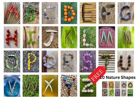 Alphabet Letters Alphabet Posters Natures Alphabet Natural Nature Alphabet Print