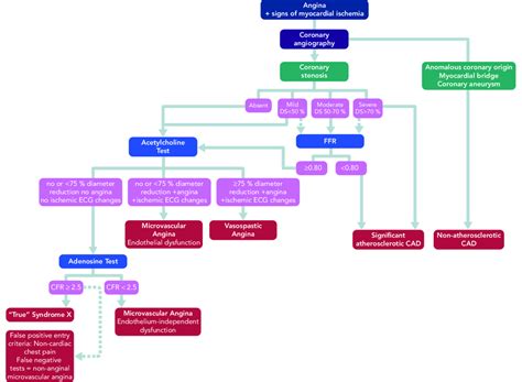 Proposed Algorithm for the Diagnosis of Microvascular Angina | Download ...