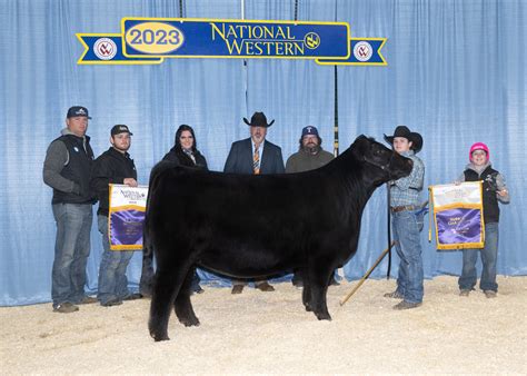 National Western Stock Show Open Limousin Show – Limousin365