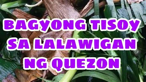 Bagyong Tisoy Stop Atimonan Quezon Lucena City Mauban Ofw Vlog