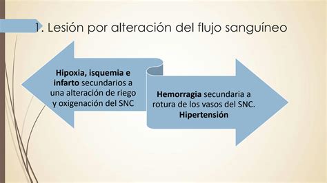 Solution Enfermedades Cerebrovasculares Ppt Va Studypool