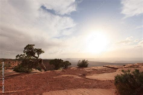 Canyon Sunset Stock Video | Adobe Stock