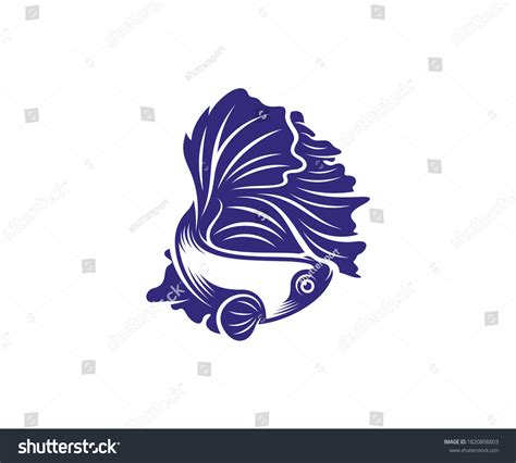 Betta Fish Vector Illustration Fighting Fish Royalty Free Stock