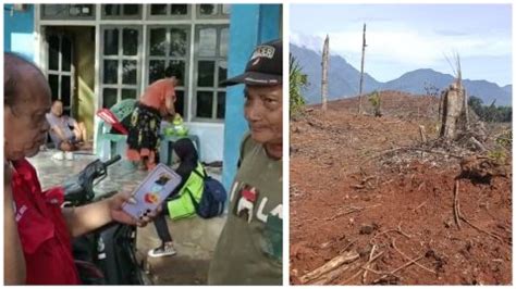 Perkebunan Kelapa Sawit Pt Cas Di Kecamatan Bungku Utara Diduga