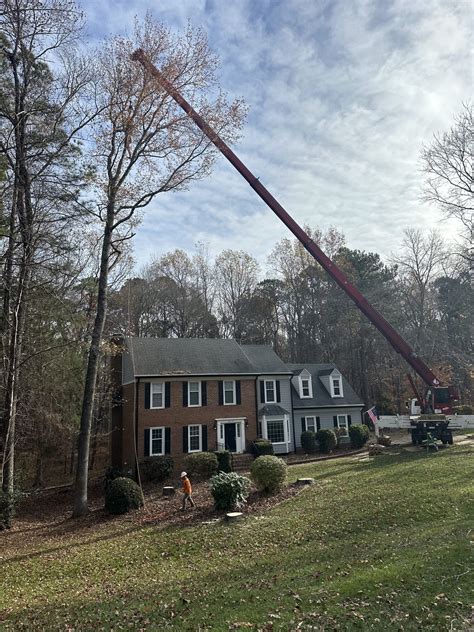 Neighbors are protesting the chalcot park tree removal project 21