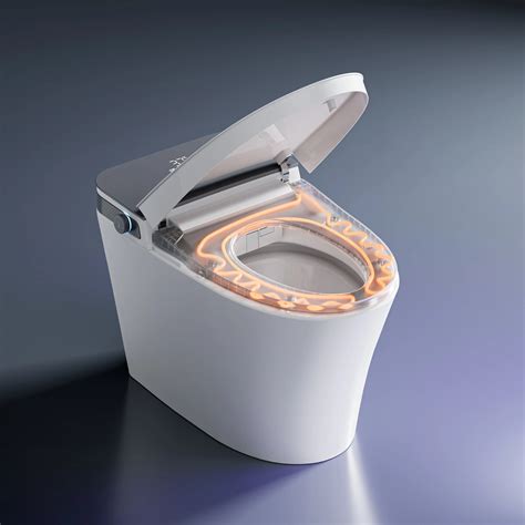 Smart Bidet Toilet | 10 Inch Rough In Toilet | HOROW One Piece Toilet